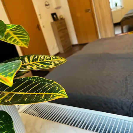 Karli's Plaetzchen * Gera